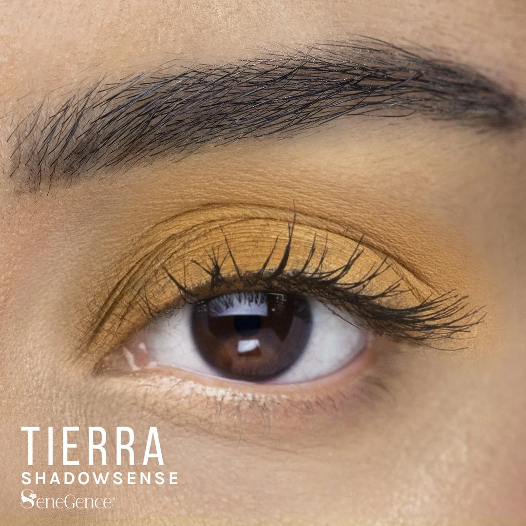 Tierra ShadowSense: The Warm Brown Neutral for Effortless Eye